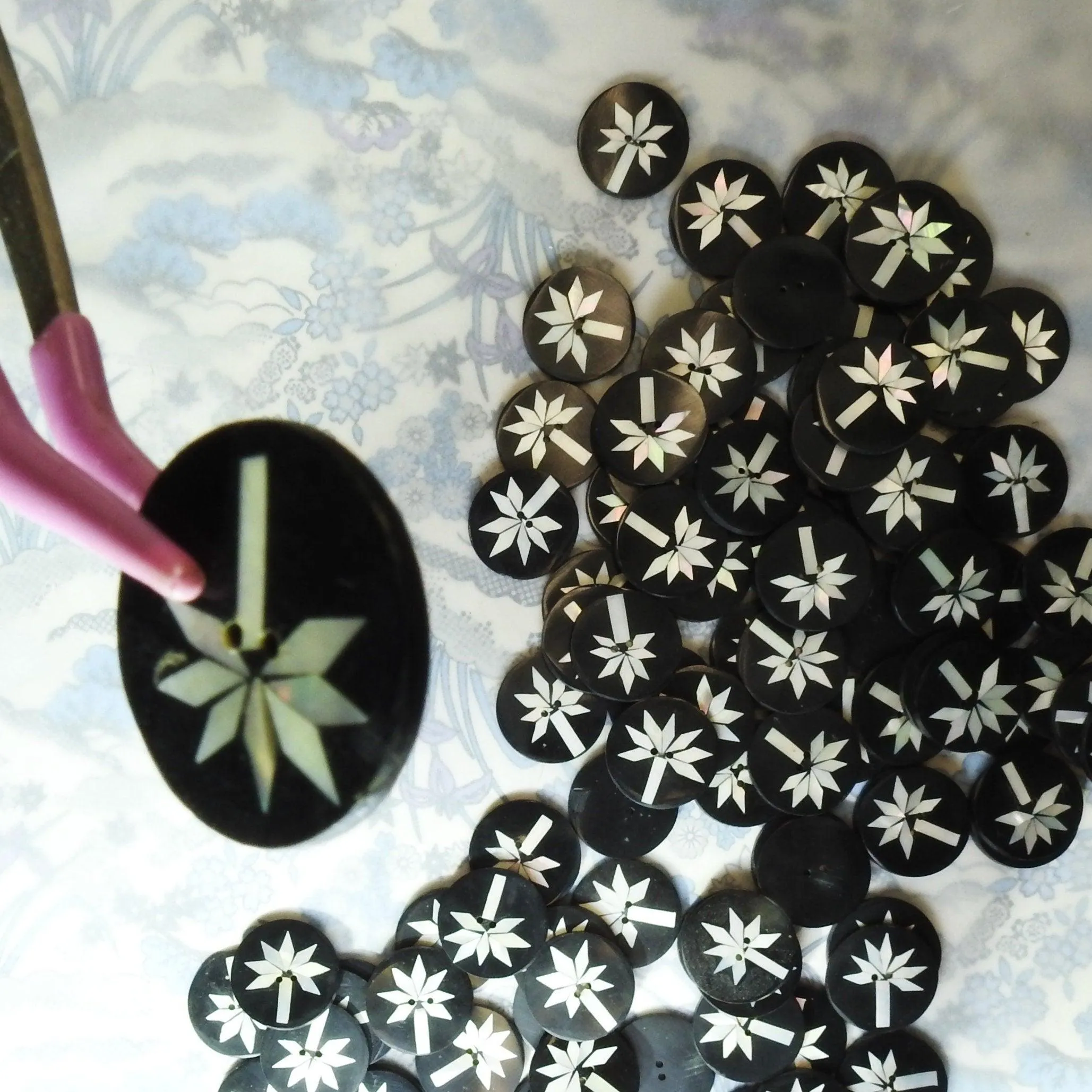 Black shell buttons