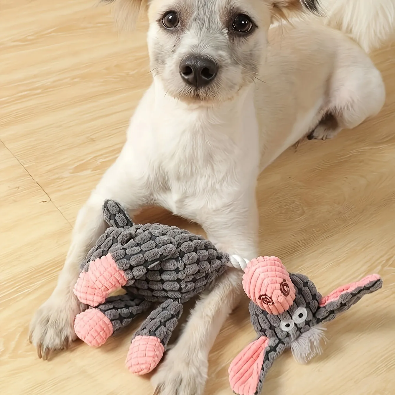Cute Soft Durable Squeaker Chew Toys for Dogs