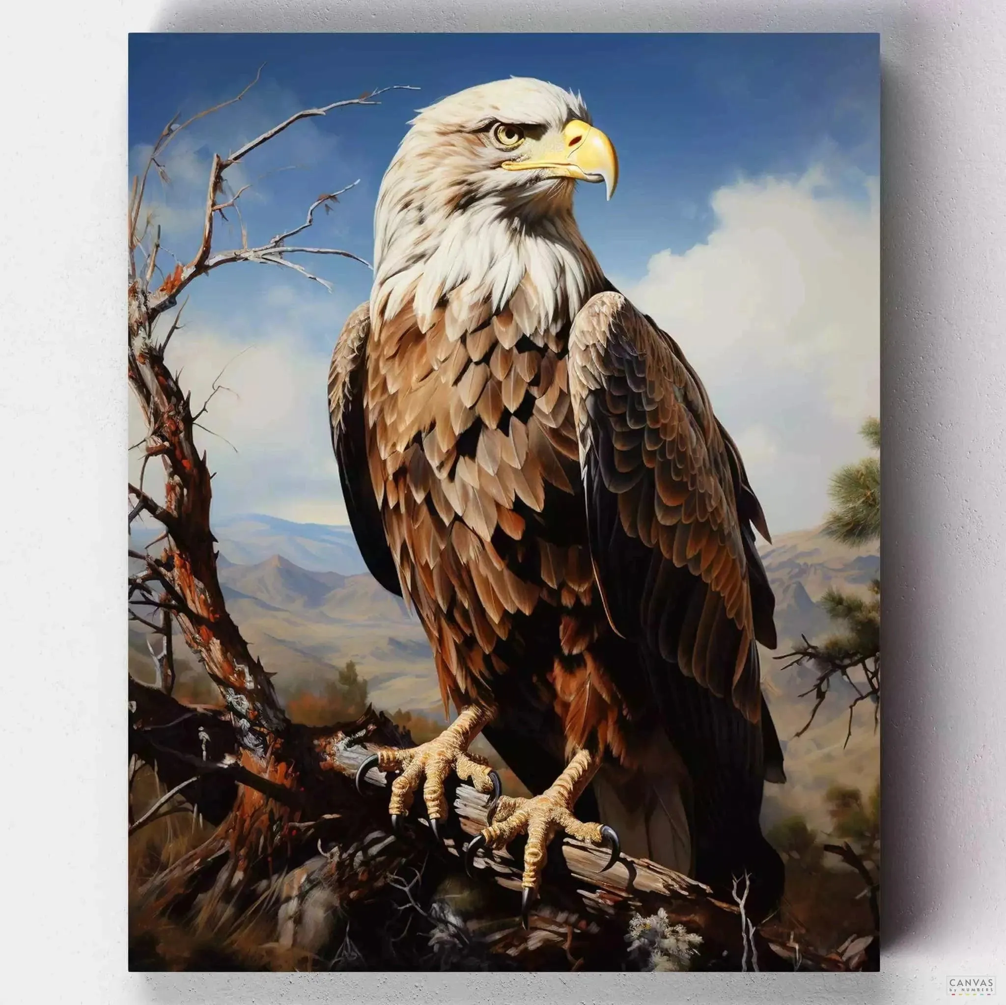 Eagle's Perch - Paint by Numbers