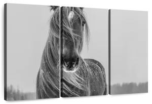 Winter Horse Wall Art